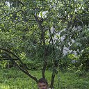 ���� �����, ������ ��������, 44 ���� - ��������� 8 �������� 2015 � ������ ���� ����������