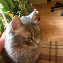 ���� ���������, ���� - ��������� 26 ���� 2015 � ������ ������ ��������