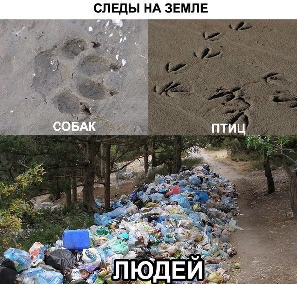     - 12  2015  16:20