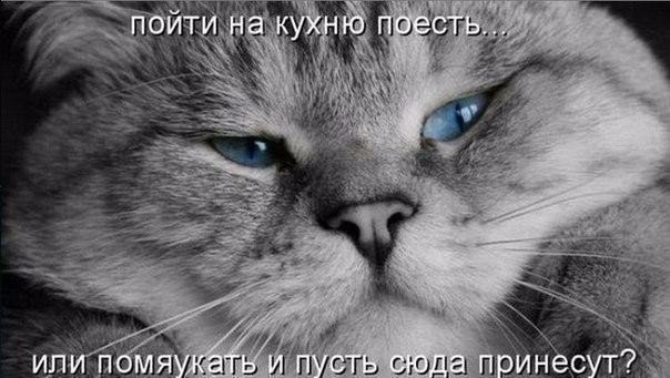 #@bon.appetit