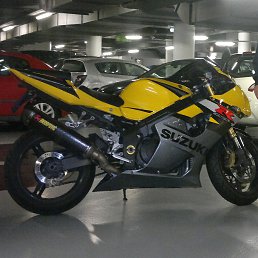 ���������, ��������, 48 ���