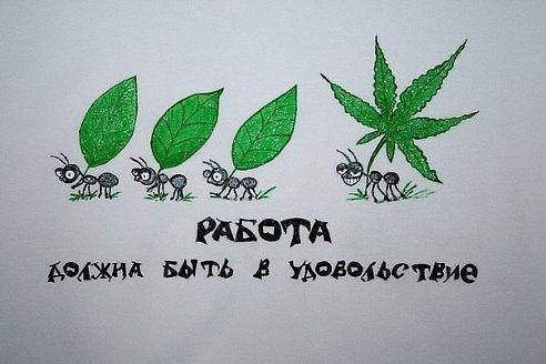 BEST | , ,  - 25  2015  08:11