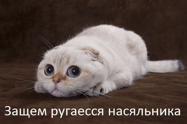   - 21  2015  23:27