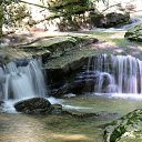 ���� �����, �����, 83 ���� - ��������� 15 ���� 2015 � ������ ������ ��������