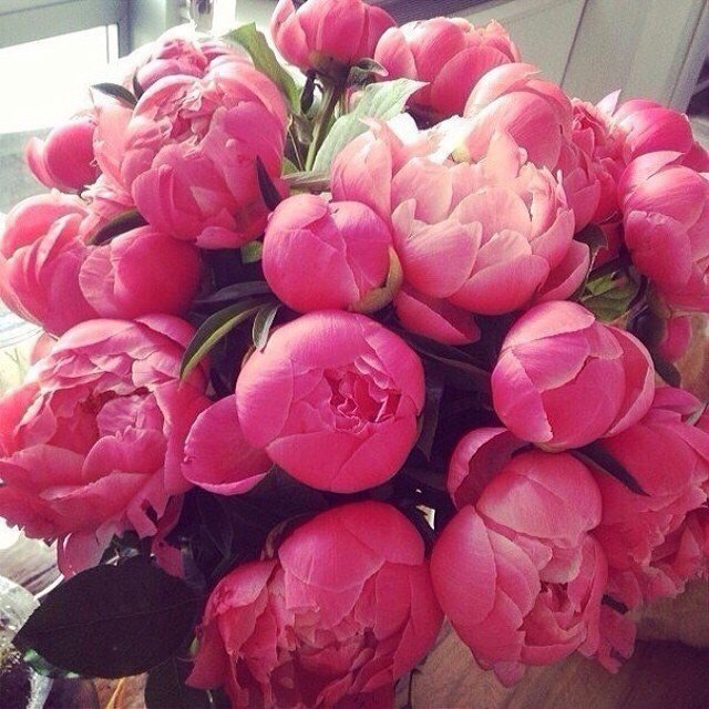   |  |  - 30  2015  23:40 - 6