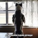 ���� ������, �����-��������� - ��������� 6 ���� 2015 � ������ ���� ����������