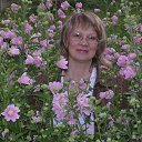  ,  , 63  -  16  2015    