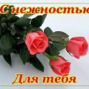 ���� ������, ������� ���� - ��������� 11 �������� 2015 � ������ �������� ��������