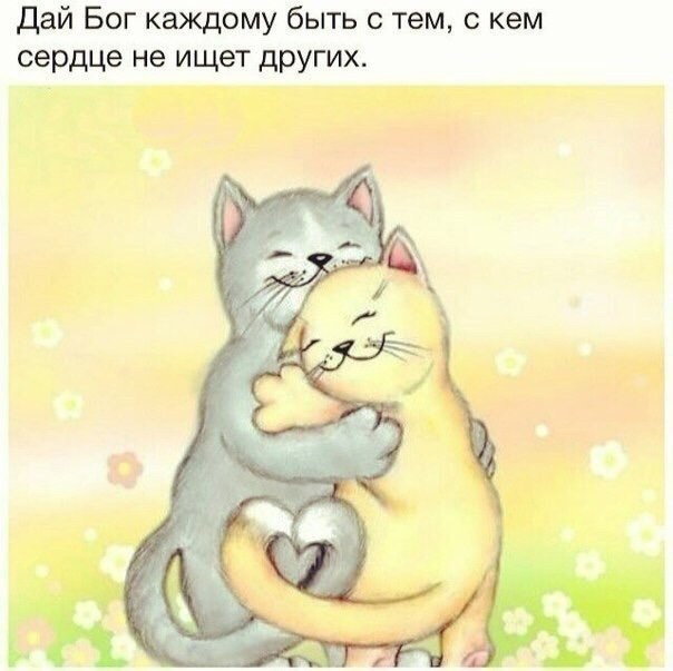 ������� ������� | ���� | ����� - 10 ��� 2015 � 17:42