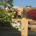 ���� ����, ������, 57 ��� - ��������� 2 ������� 2015 � ������ ���� ����������