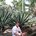 ���� �������, �������, 54 ���� - ��������� 9 ������� 2015 � ������ ���� ����������