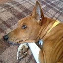 ���� ���������, ���� - ��������� 26 ���� 2015 � ������ ������ ��������