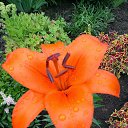 ���� �����, ����� - ��������� 13 ������� 2015 � ������ ���� ������