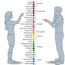 ���� ������, ������� - ��������� 11 ��� 2015 � ������ ������ ��������