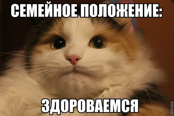   - 28  2015  11:30