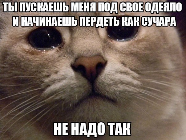    :-) - 27  2015  23:40