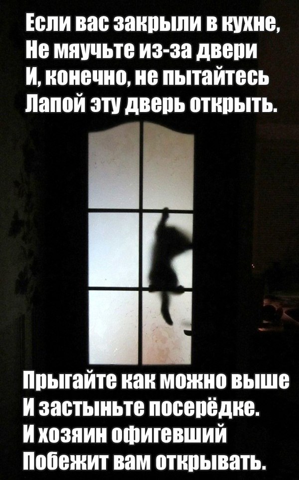  - 18  2015  14:42