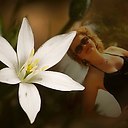 ���� Olga, �������� - ��������� 29 ���� 2015 � ������ ���� ����������