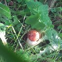 ���� �������, ����� - ��������� 12 ���� 2015 � ������ ���� ����������