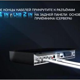 Wasj, ������, 40 ���