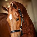   ., , 44  -  21  2015    .