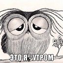  .,  -  13  2015    