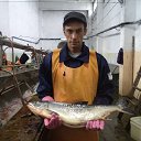 ���� ������, ������-���������, 50 ��� - ��������� 8 ������� 2015 � ������ ���� ����������