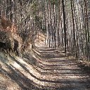 ���� ���������, �����������, 69 ��� - ��������� 1 ����� 2016 � ������ ���������!.�����. ������ 2016�