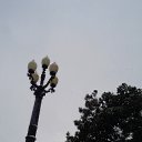  , , 60  -  29  2016     ,23.01.16.