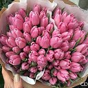 ���� ����, ������, 65 ��� - ��������� 7 ����� 2016 � ������ ������ ��������