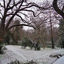  , , 60  -  29  2016     ,23.01.16.