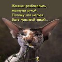 ���� ���, ���������, 41 ��� - ��������� 8 ������ 2015 � ������ ���� ����������