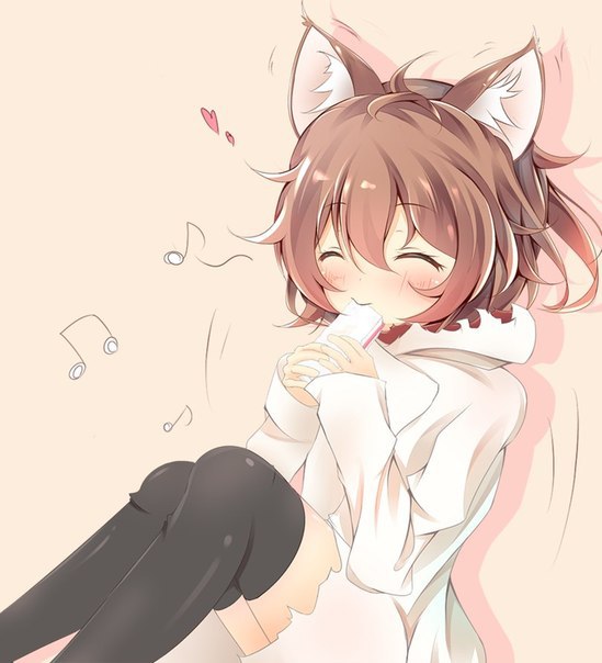 ,     ? / Dungeon ni Deai wo Motomeru no wa Machigatteiru Darou ka - 13