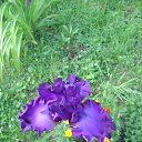 ���� �������, ��������, 66 ��� - ��������� 24 ������� 2015 � ������ ���� ����������