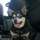  Vidmantas, , 52  -  15  2016    