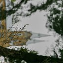 ���� ��������, �����, 77 ��� - ��������� 8 ������� 2015 � ������ ��������� ��������� ������ �������