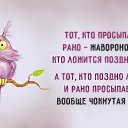  , , 51  -  29  2016    