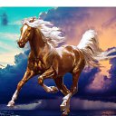 ���� ���������, �����, 72 ���� - ��������� 24 ������ 2016 � ������ ������ ��������