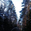 ���� �������, �������, 62 ���� - ��������� 7 ����� 2016 � ������ ������ ��������