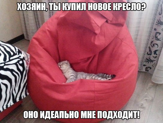 питомцы - 21 декабря 2015 в 18:34