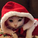���� ����, �����, 52 ���� - ��������� 6 ������ 2016