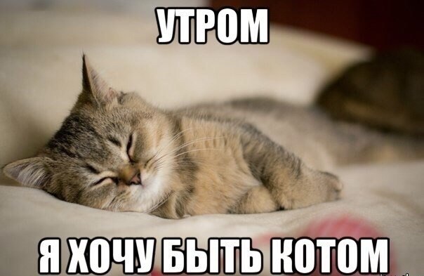  -   - 15  2015  08:31