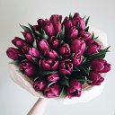 ���� �����, ������, 51 ��� - ��������� 8 ����� 2016 � ������ ������ ��������