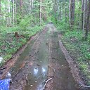 ���� ������, ����������-���������, 44 ���� - ��������� 31 ������� 2015 � ������ ����������