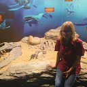 ���� ����, ���������, 30 ��� - ��������� 3 ������� 2015 � ������ ���� ����������