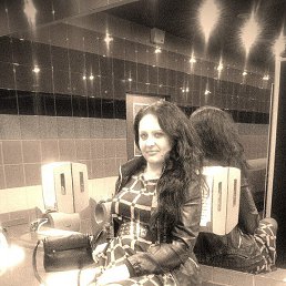 ���� ������, ���������, 41 ��� - ��������� 13 ������ 2015