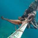 ���� Roman81, ������, 44 ���� - ��������� 5 ������� 2016 � ������ �yyyy�