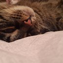 ���� �������, ����, 58 ��� - ��������� 27 �������� 2015 � ������ ������ ��������