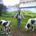 ���� �����, �������, 55 ��� - ��������� 12 ������ 2016 � ������ ���� ����������