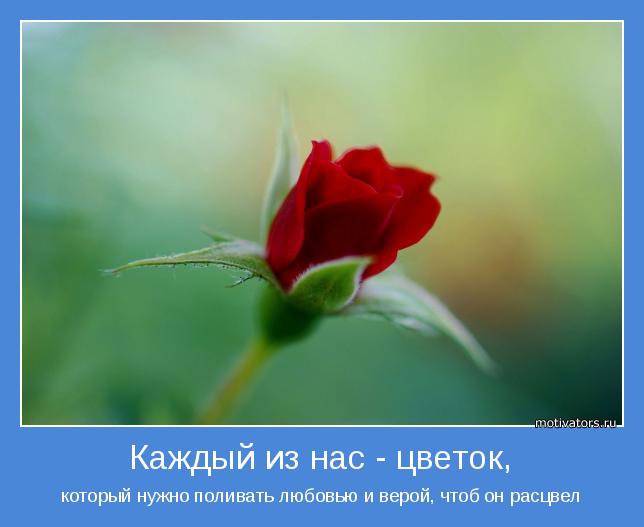  - 24  2016  12:38